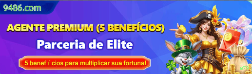 Interface Premium w79